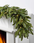 Guirlande sapin Fraser